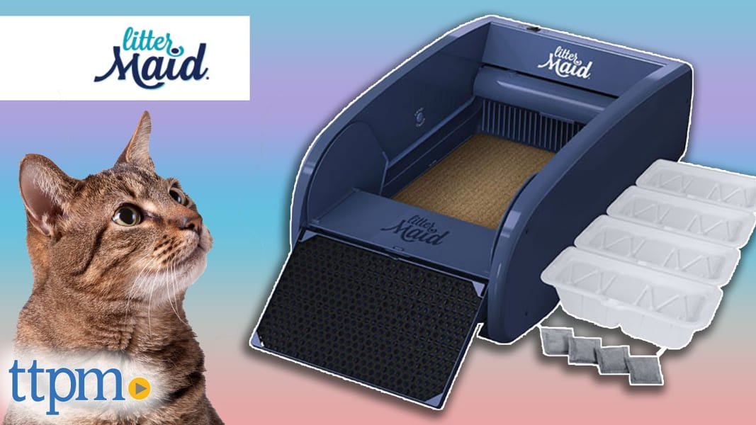 Litter Box for cats