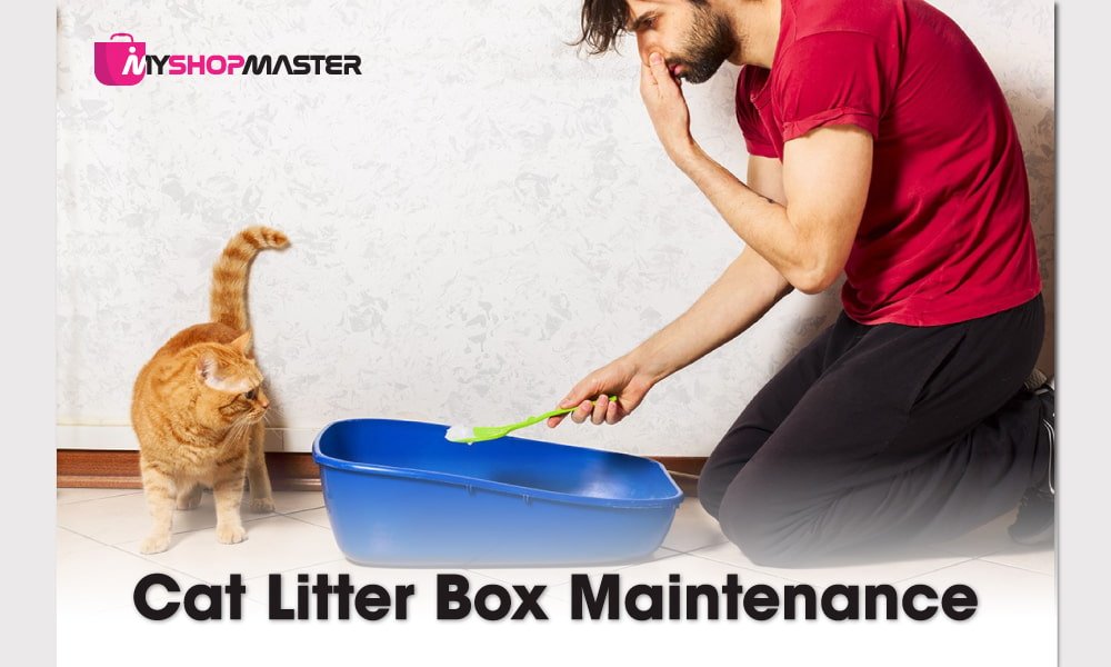 automatic cat litter box min 2