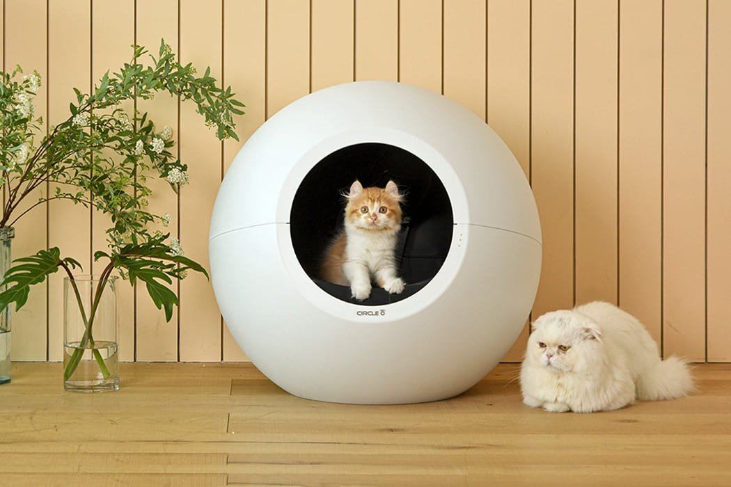 litter boxes for cat 1