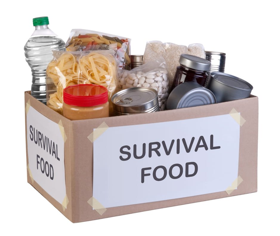 survival food