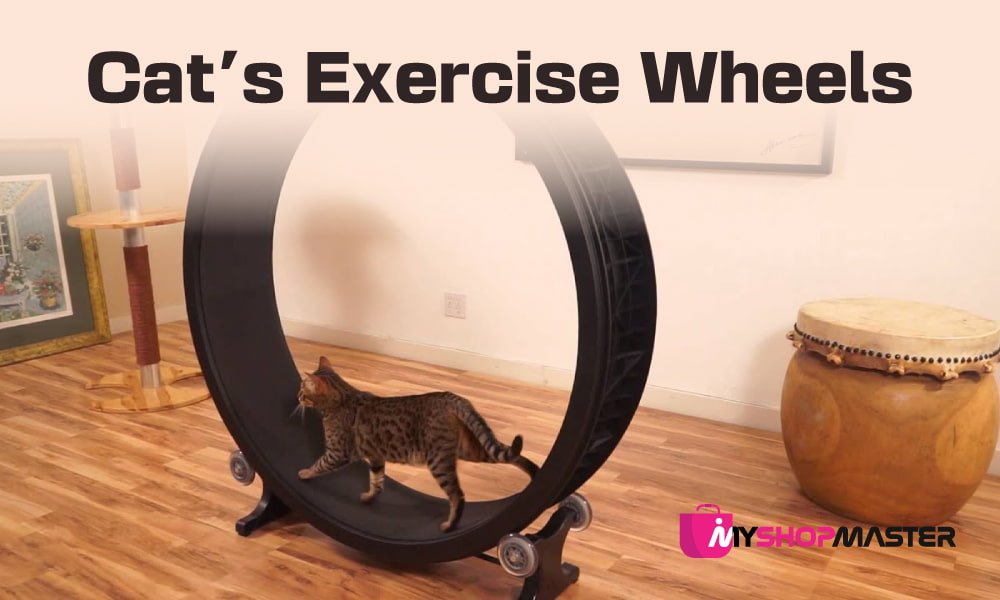 Cats Exercise Wheels min