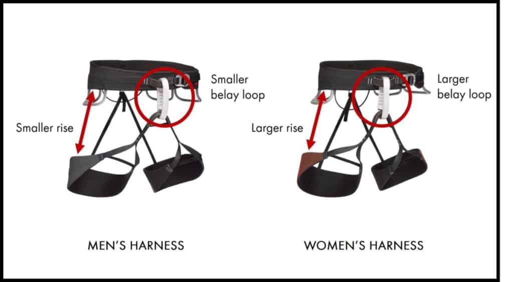 Male and Female Harnesses