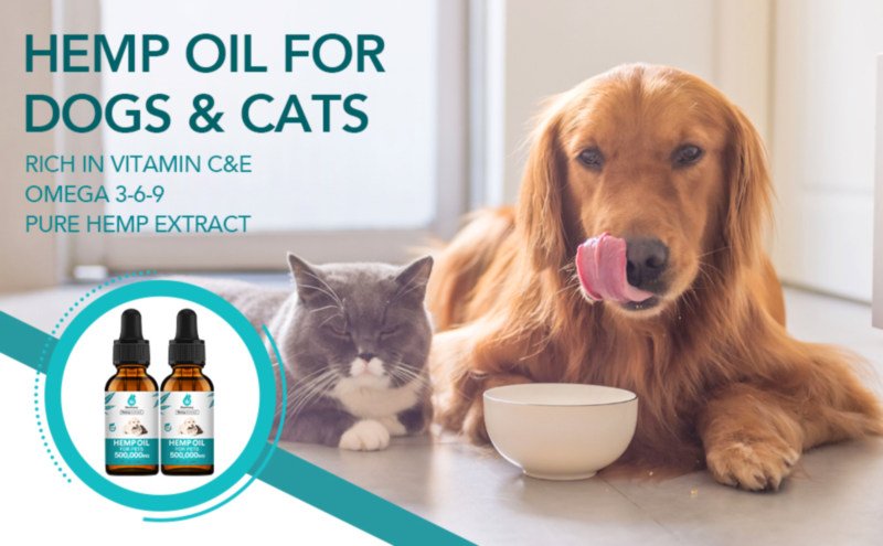 MaxHemp High Potency Hemp Oil for Dog Cat 2