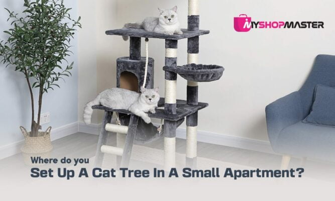Where do you set up a cat tree in a small apartment min