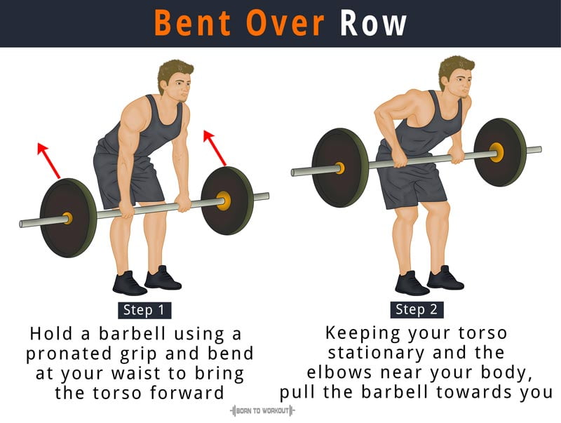 Barbell bent over rows 1