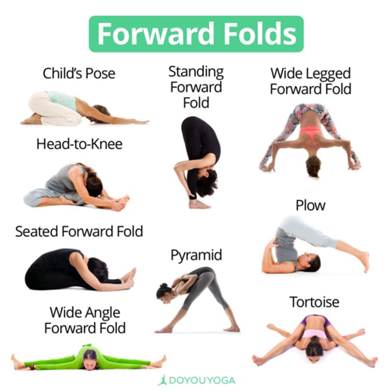 forward fold